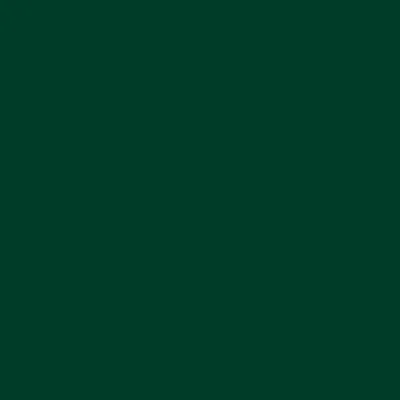 Échantillon de couleur - Vert - RAL 6005